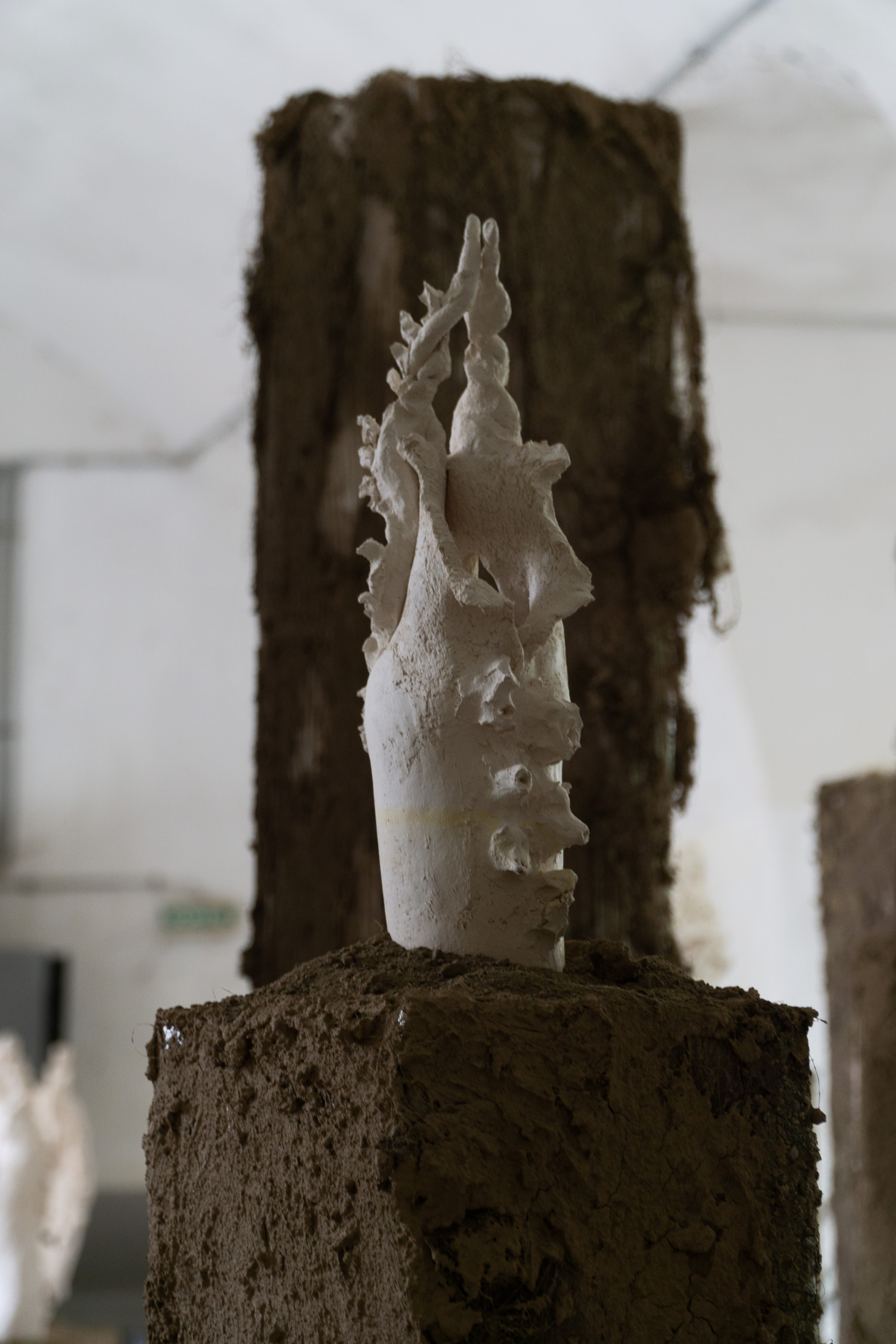Le Jardin clos, 2023. céramique grès blanc, socle en carton, chanvre et terre végétale, dimensions variables. Photo © Margot Anquez Bariseau